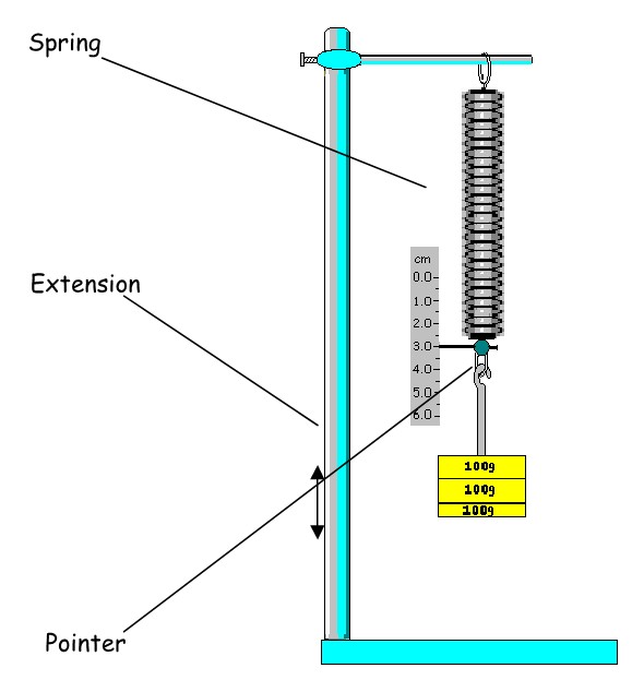 A Mass suspended by a spring